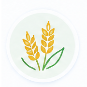 Wheat